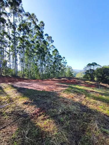 Vendo terreno de 300 MTS por 40mil ou 600mts por 75mil