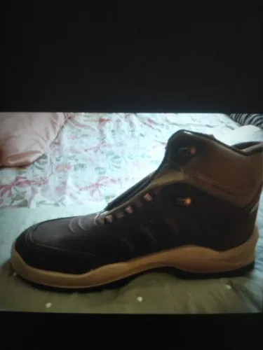 Bota bracol