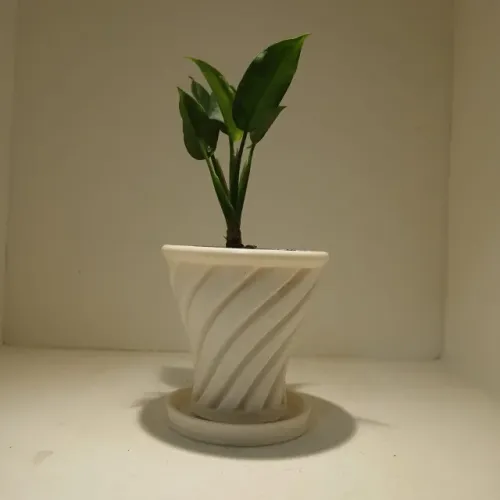 Vaso para Plante