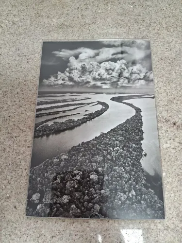 Ilhas Anavilhanas 2009 - Sebastião Salgado