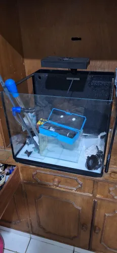Aquario