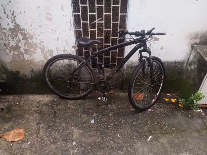 Bike Aro 29 