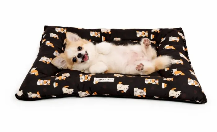 Caminha Colchonete Para Pets Tamanho P Ideal Para Cães E Gatos De Pequeno Porte 