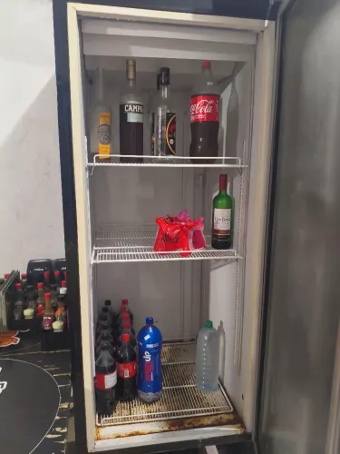 Freezer e 16 cx litrinhos