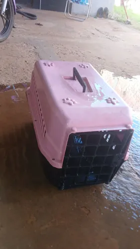 Caixa de transporte pet