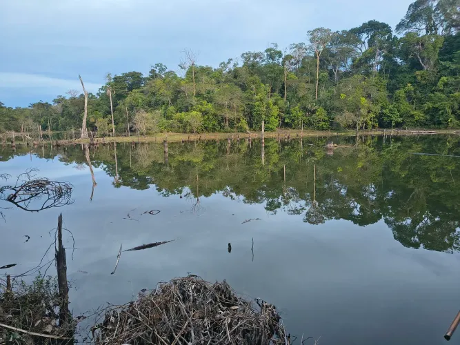 Chácara com lago natural