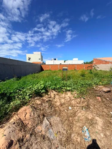Vendo terreno em Massagueira