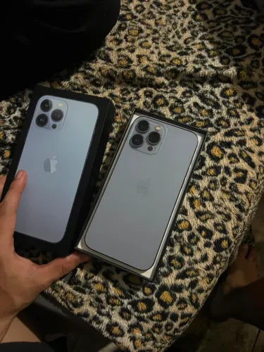 iPhone 13 Pro Max