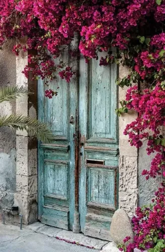 Fundo fotográfico 
