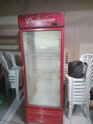 Expositor gelado 