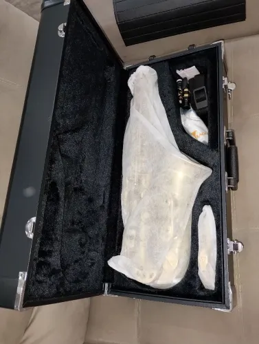 Sax Alto Eagle dourado ( novo).