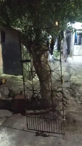Grade de portão 75 de largura por 1,80 de comprimento