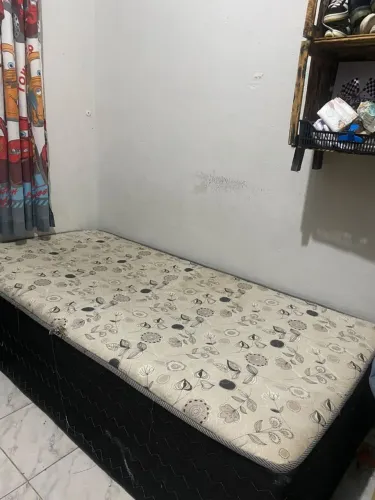 Cama