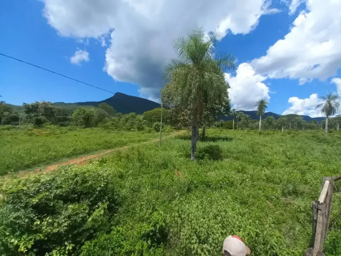 CÓD228 Fazenda 800 ha | Pantanal 25 km de Corumbá/MS