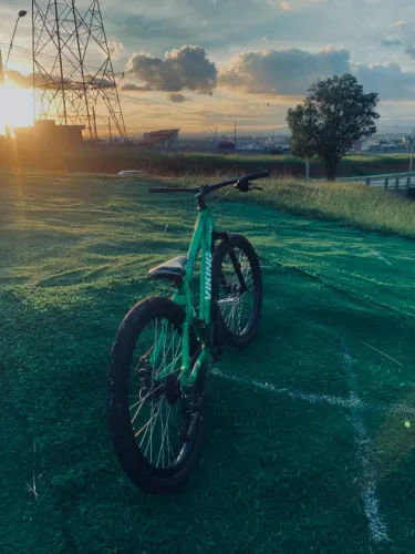 Bicicleta Viking