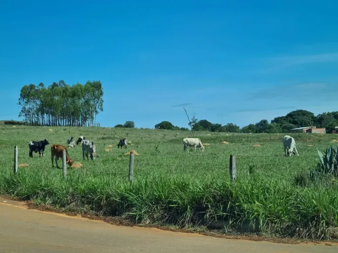 Sitio - Sobradinho dos Melos - Paranoa DF