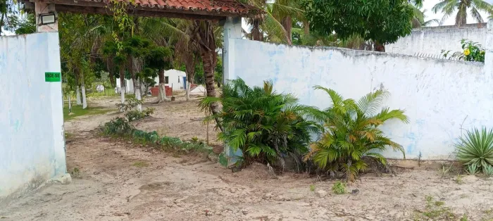 Terreno à venda, 26000 m² por R$ 550.000 - Alagoinhas Velha - Alagoinhas/BA