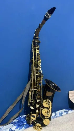 Saxofone Alto Eagle SA501 - Ótimo Estado | Comprado na Itália