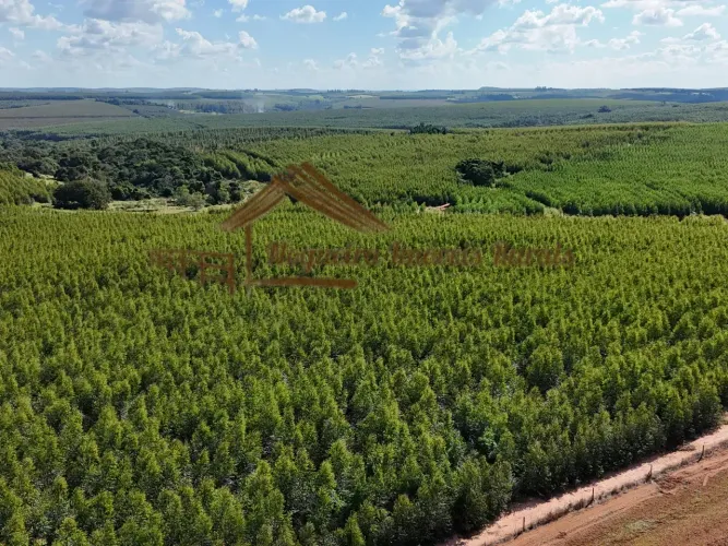 Fazenda à venda com 70 alqueires na região de Bauru-SP