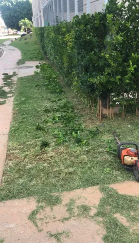 Tudo pra deixar seu jardim novo e elegante