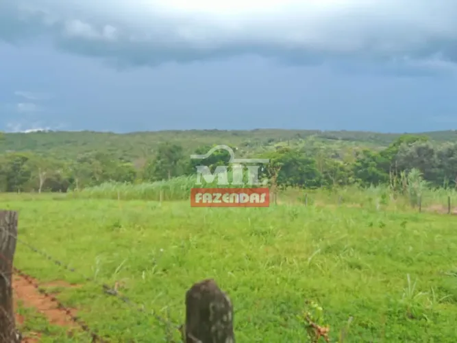 Chácara 6 Alqueires (29,04 hectares) Luziânia - GO