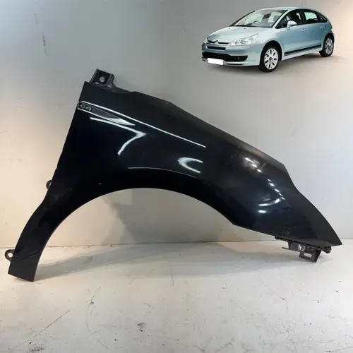 Paralama C4 Pallas Ou Hatch 2009 2014 Original Direito