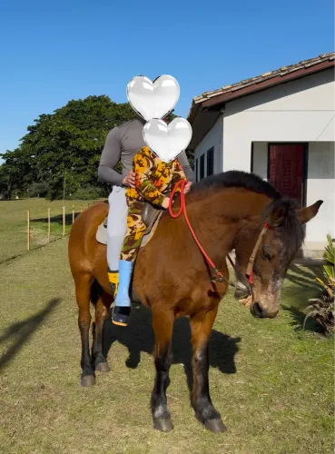 Cavalo encilhado