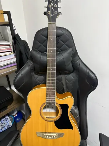 Violão Strinberg Berlin BE30C NS