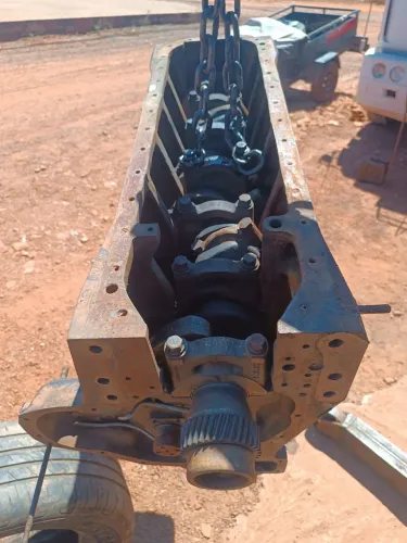 Motor MWM 229