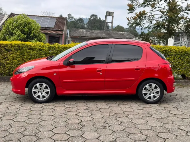Peugeot 207 XR 1.4 Flex 8V 5P 2011