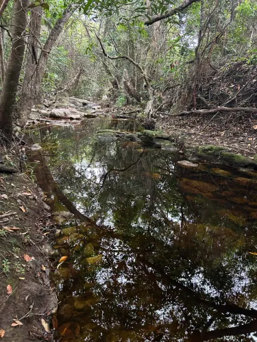 Santuário Particular na Chapada Diamantina: Onde a Natureza Escolheu Morar