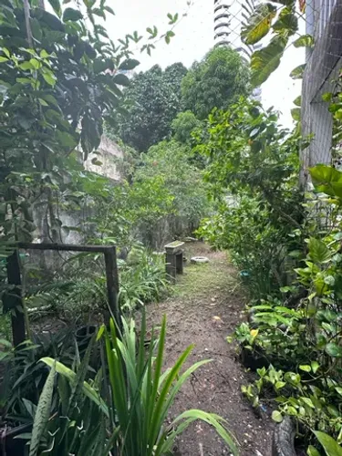 Baixou o preco Vendo casa na Rua APINAJES NA BATISTA CAMPOS