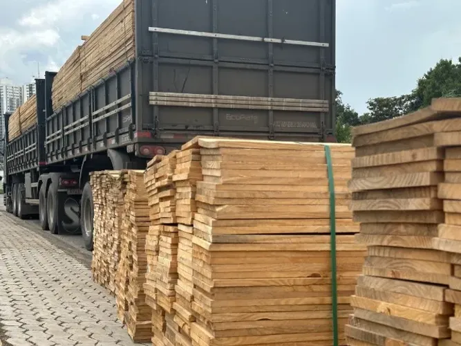 Tabua De Pinus Com Melhor Preço de Goiania