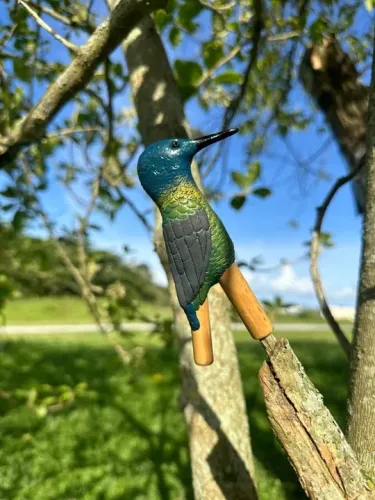 Kuripe Personalizado Animal de Poder - Beija-flor