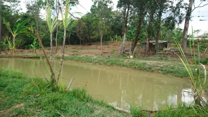 Terreno 13.000 m², agua nos fundos, poço de peixe, fogão a lenha, terra ideal para plantio