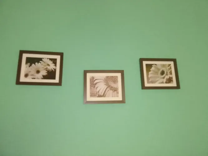 Kit 3 quadros