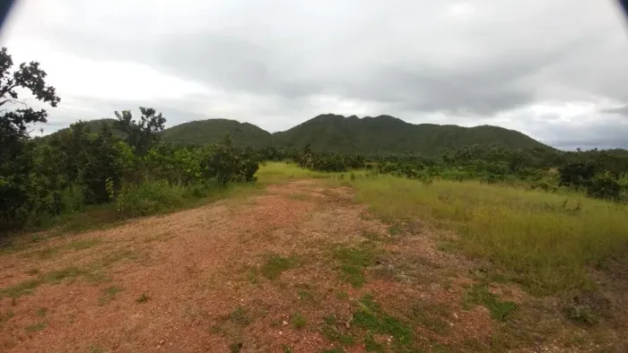 fazenda lago serra da mesa