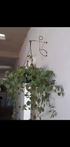 Supotre de plantas