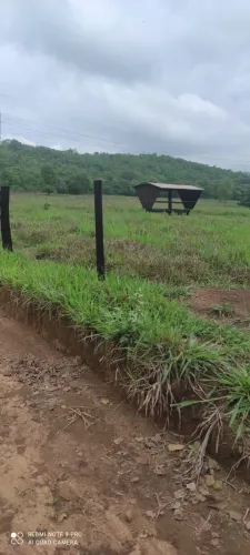 Faz 61. 5 Alq 45 Alq de Pasto próx Paraíso Do Tocantins
