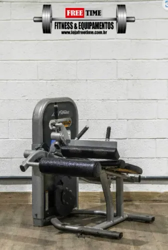 Cadeira flexora life fitness usado