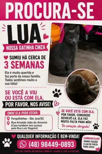Gatinha