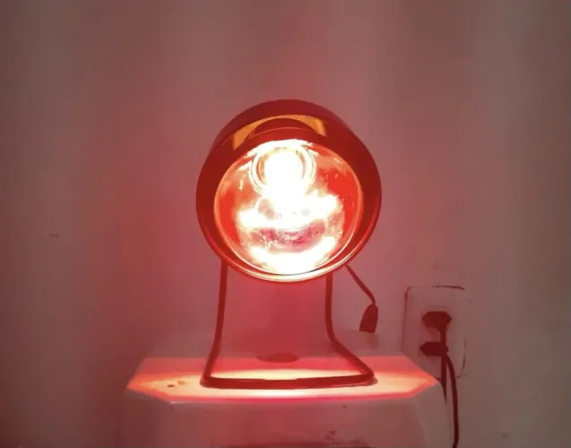 Infravermelho 250w + Suporte na cor preta