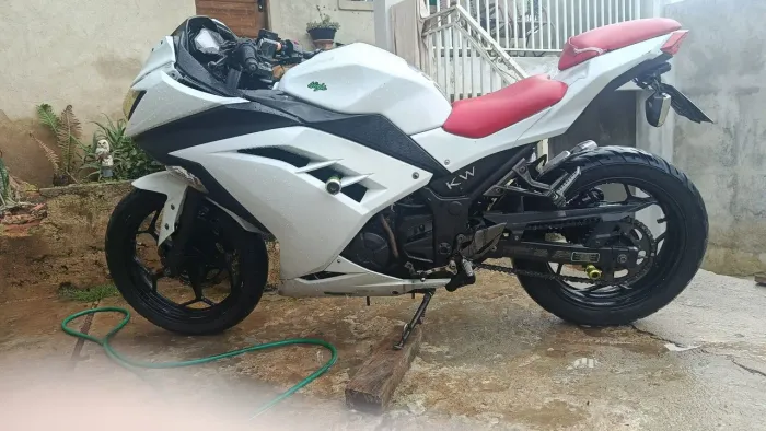 Ninja 300 watts *