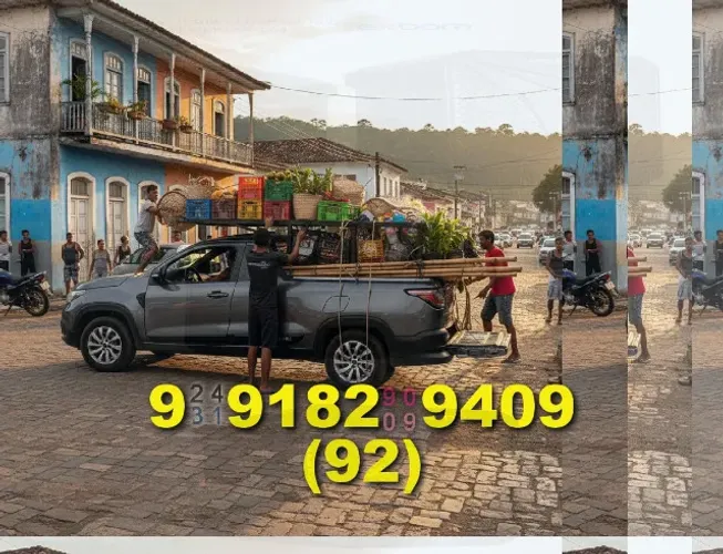 frete mudança rápida em manaus