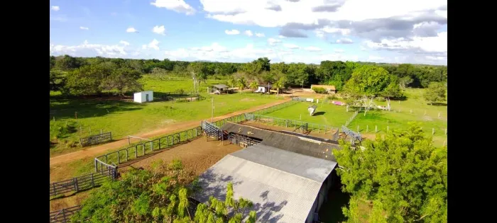 FAZENDA BARATA MARANHÃO 