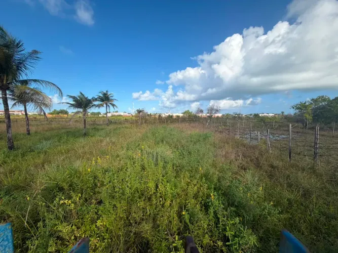 Imóvel para venda tem 360 metros quadrados em Praia do Frânces - Marechal Deodoro - AL