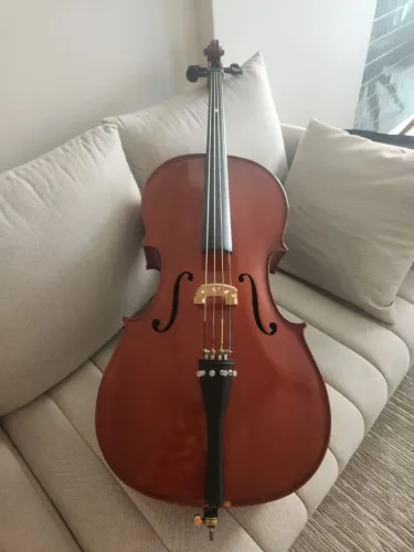 Violoncelo Michael com arco e acessórios