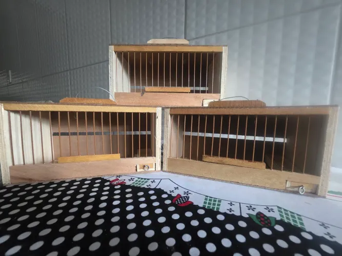 Transportes e viajantes