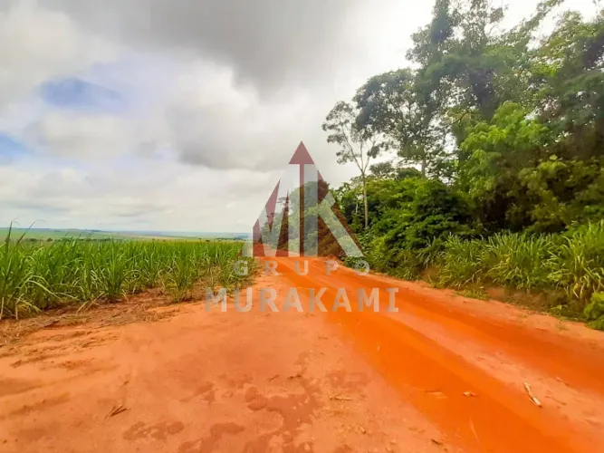 FAZENDA - MARECHAL CANDIDO RONDON - PR