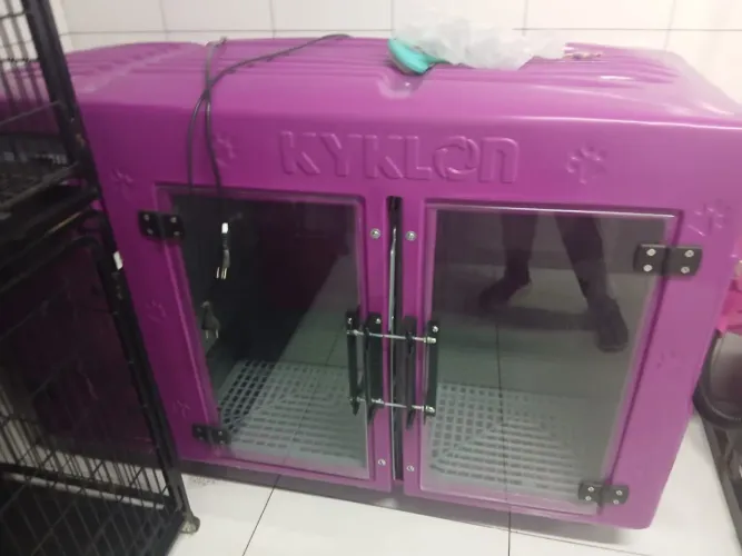 Máquina secadora pet